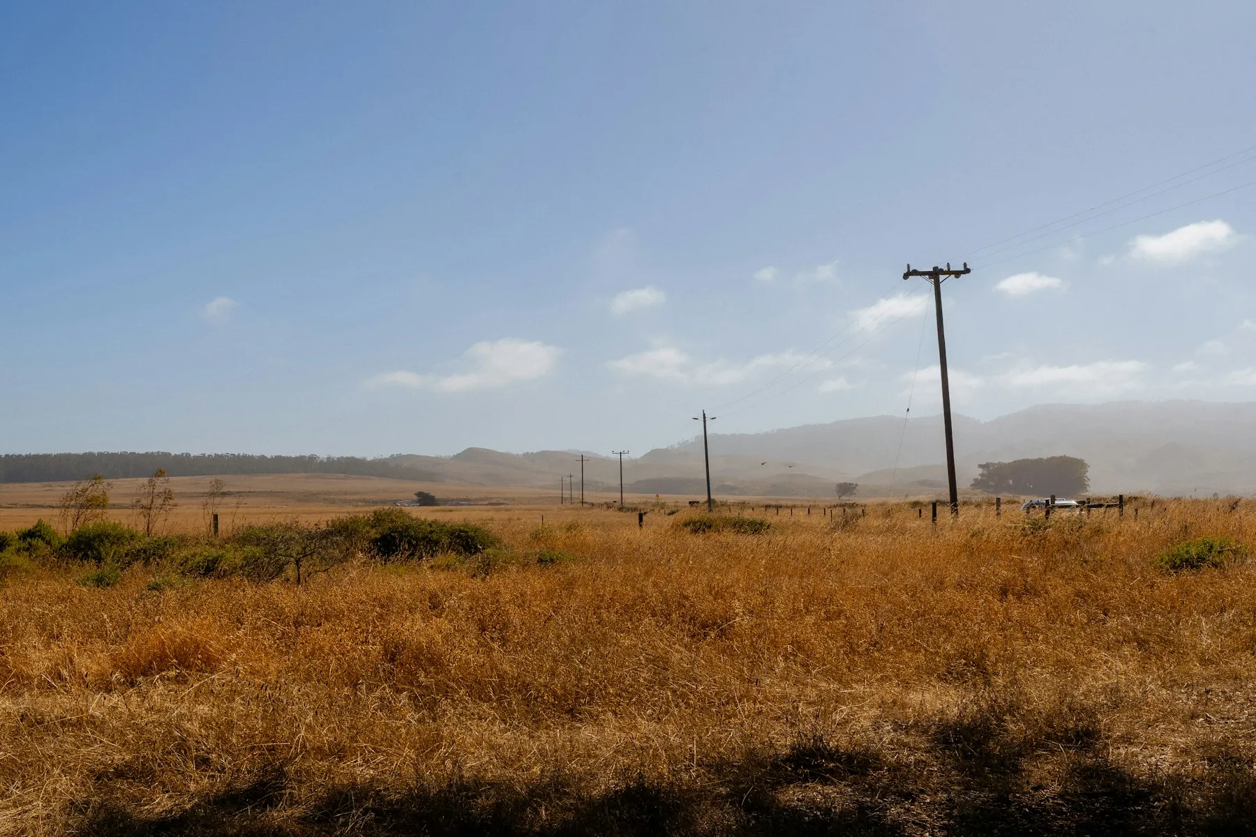Brush and neighborhood interface terrain that reflects defensible space zone planning in Santa Clarita Valley.